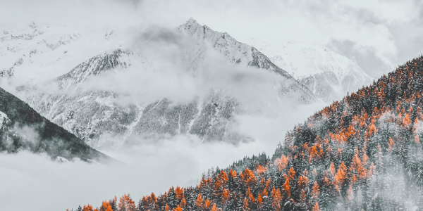 SONNENSCHUTZ IM WINTER - BONOCLER Eyewear